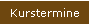 Kurstermine