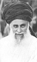 Maulana Sheik Nazim; Pir der Naqshibandia