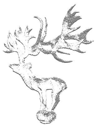 stag.JPG (18720 bytes)